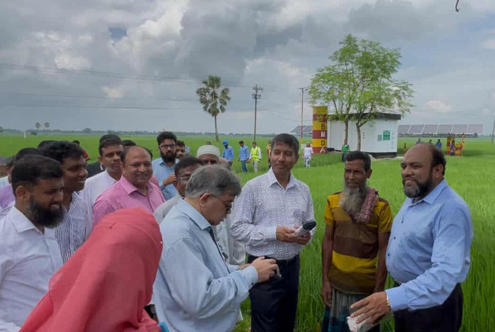 আমাদের সারের কোনো সংকট নেই : কৃষি সচিব