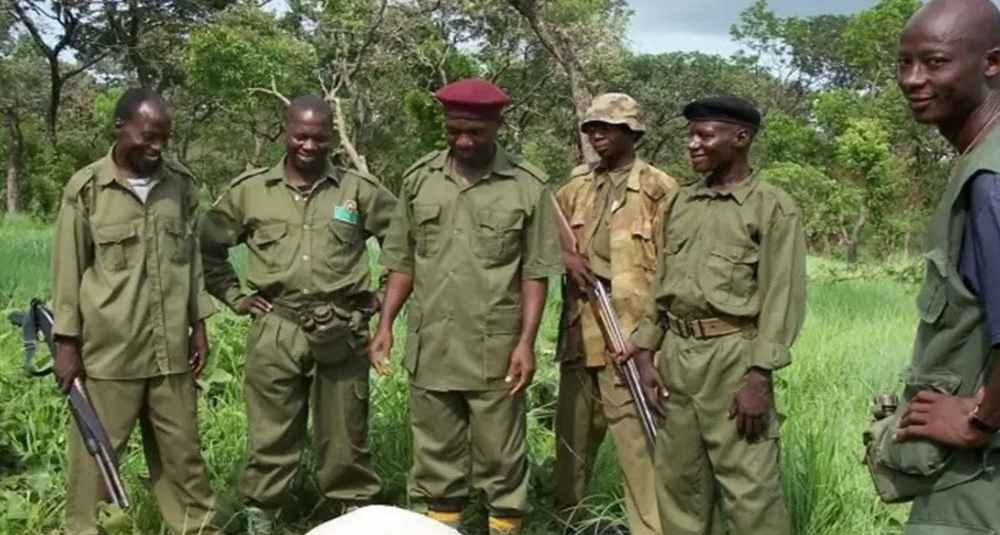 নাইজেরিয়ায় ডাকাতের হামলায় ১২ বনরক্ষী নিহত