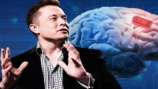 চলতি বছরই মানুষের মস্তিষ্কে চিপ বসাতে চান ইলন মাস্ক