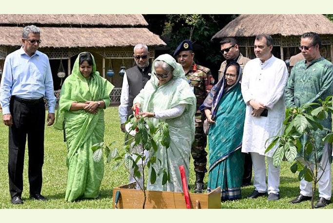 সবাইকে ৩টি করে গাছ লাগানোর আহ্বান প্রধানমন্ত্রীর