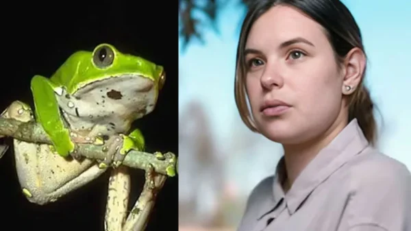 1733413813 6bc4a66698ff4a20fa49838b8af77141