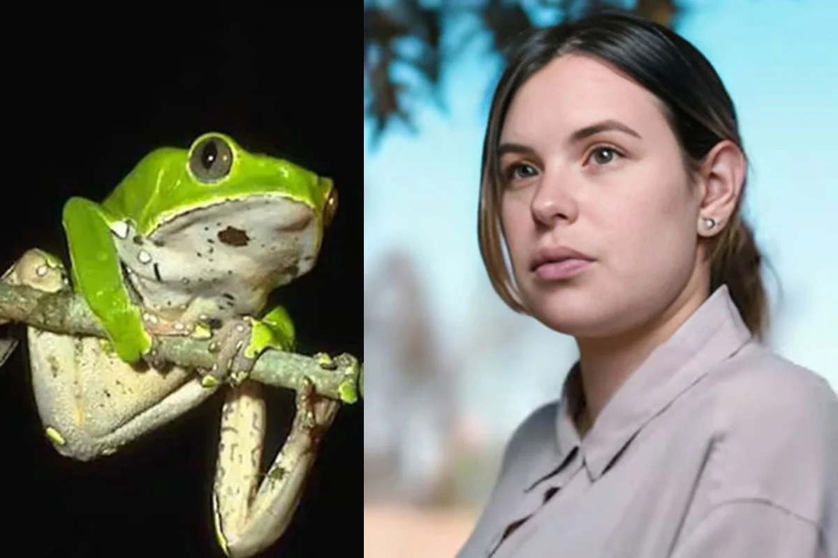 ব্যাঙের বিষে প্রাণ গেল অভিনেত্রীর