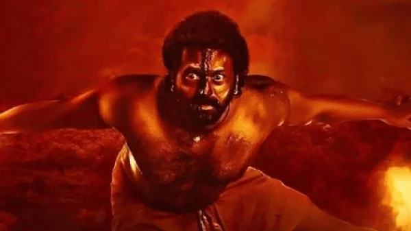 1737491307 2d97258221a20a9bc6e53d11aff23af9