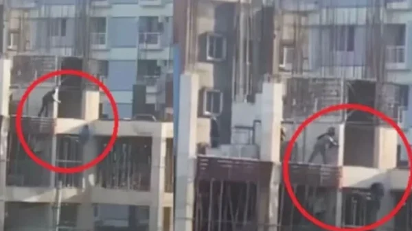 1737912664 799bad5a3b514f096e69bbc4a7896cd9