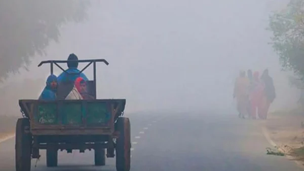 1738473071 6d19837b3a6222900175553923196908