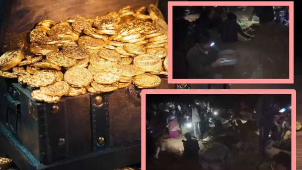 1741494669 d5cd2484d5f835b33914a20dcf91ed73