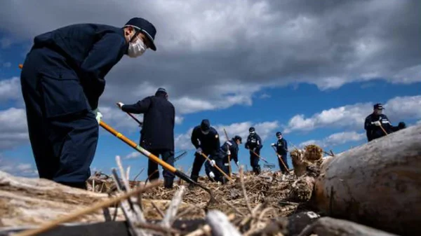 1743486781 37aea78ba053c4459186a850326a8a96