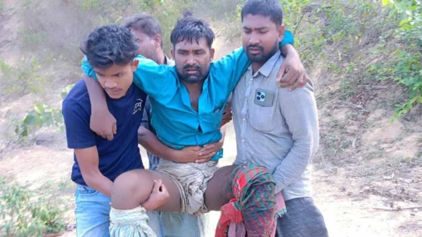 1744091433 0fe2139b6f9163c35648cb82bdd0a4d0