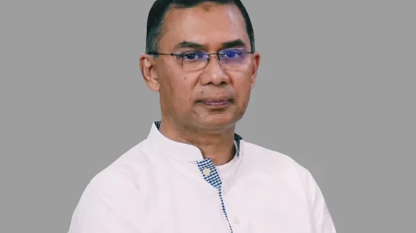 1745249232 8881fa5138ac07f3a75bde8fab6bf6a0