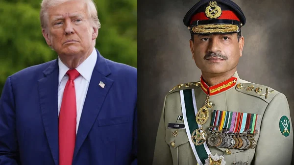 1750229146 4369d62e4253a58c2e5b3baa7c25719c