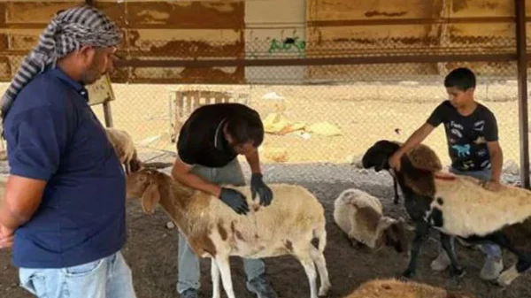 1752893990 57f1a7e9abbb9a1109afa1815891c620