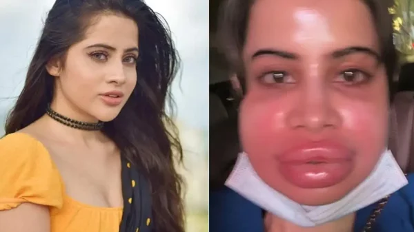 1753074236 763a0bda9de8829a502623f3f34e8d4e