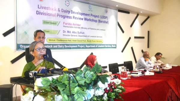 1754832126 a336a4bdb091284ae03e8dc6b8b2f6e7