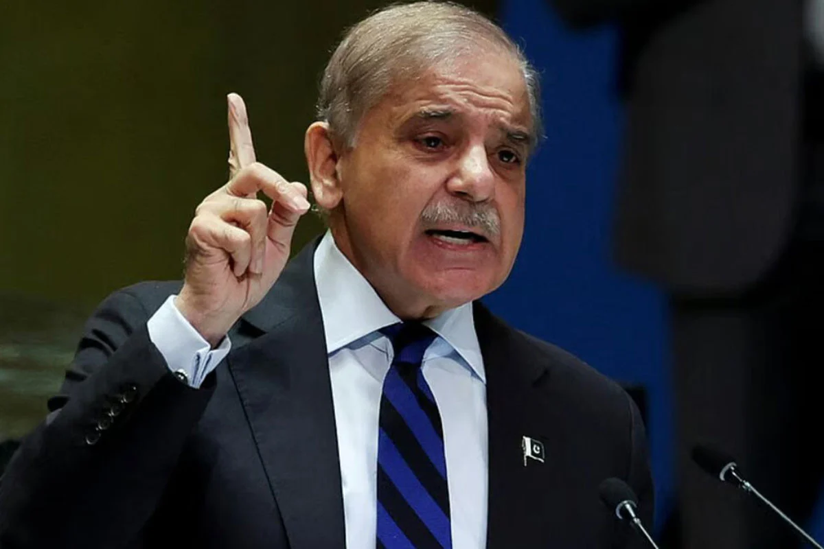 এমন শিক্ষা দেব কখনও ভুলবে না, ভারতকে শেহবাজ