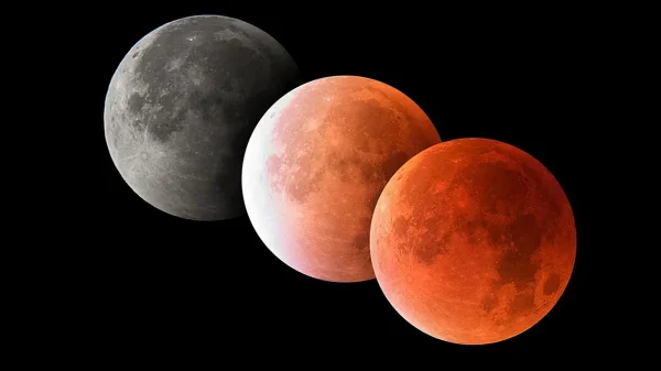 1757223751 8dc50f81e936291e1bcdee402793c007