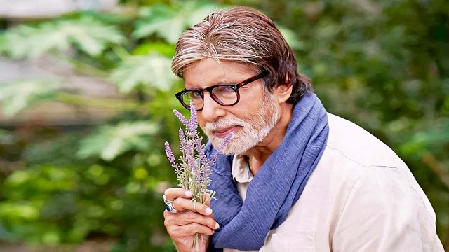 অনুমতি ছাড়া অমিতাভ বচ্চনের নাম, ছবি ও কণ্ঠ ব্যবহার করা যাবে না: হাইকোর্ট