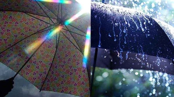 210014745454 20250210 095148603