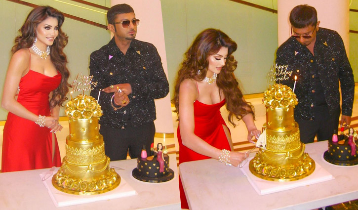 উর্বশীকে ৪ কোটি টাকা মূল্যের কেক উপহার, দাবি হানি সিংয়ের