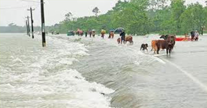 ২৪ ঘণ্টায় দেশের ৪ জেলায় বন্যার শঙ্কা