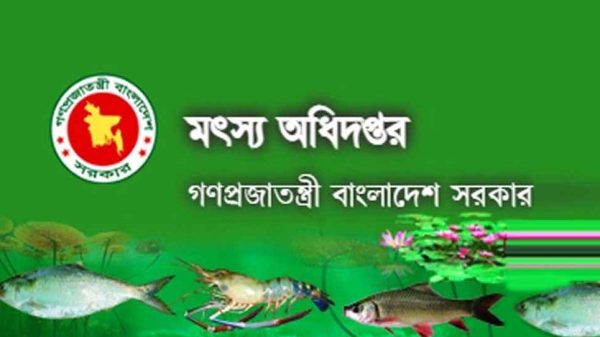 515152152 20250517 131027886