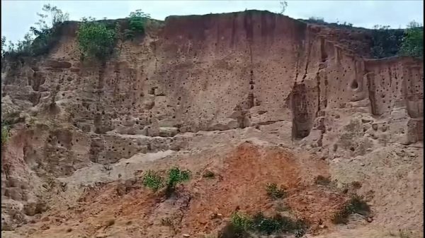 5d90cebbe7bcf2649a07f003b275e2dc721e817c691cae3f93ab32229f42a68e.0