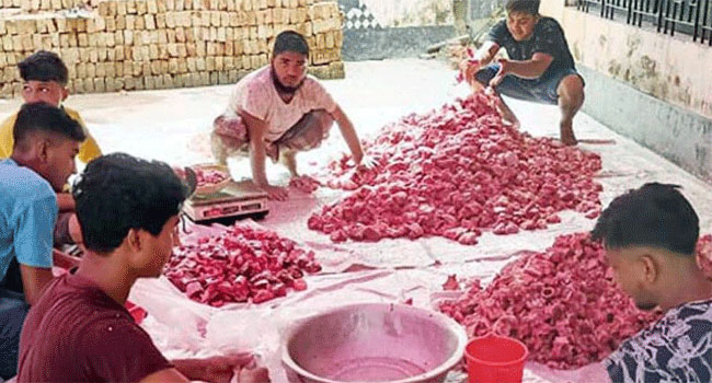 যেভাবে কোরবানির গোশত বণ্টনের নির্দেশ দিয়েছেন নবীজী সা: