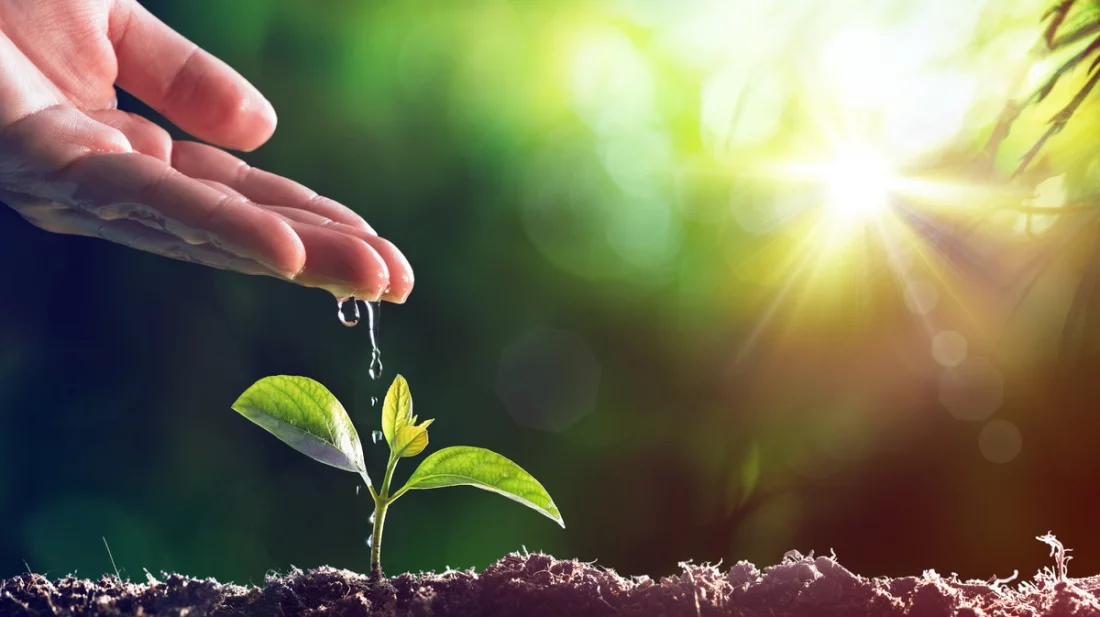 আজ বিশ্ব পরিবেশ দিবস