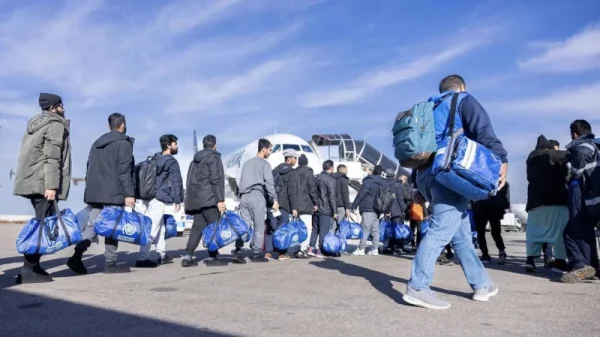 6dcdd4dc195074eccdf7e8e555ff1f4e 65bb569c2c356