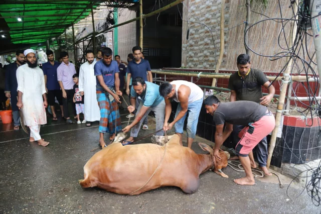 রাজধানীতে ১২ লাখ পশু কোরবানি