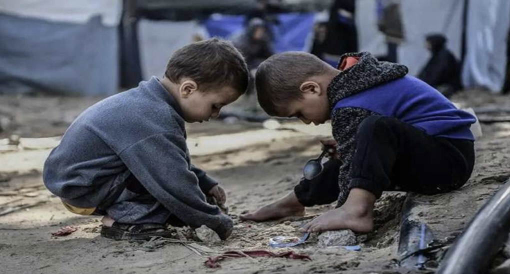 গাজায় নিহত আরও ৮৪, খাবার সঙ্কট চরমে