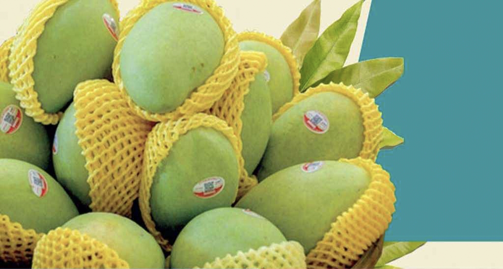 আমের রপ্তানি ১০ গুণ বাড়বে: বাণিজ্য উপদেষ্টা