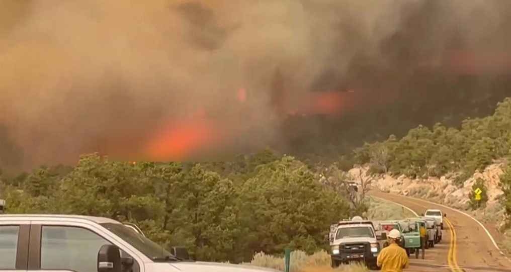 ফের ভয়াবহ দাবানলের কবলে যুক্তরাষ্ট্র