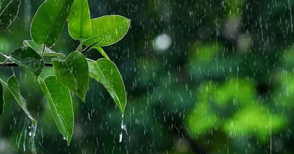 শ্রাবণের আকাশে মেঘ, বৃষ্টি নিয়ে যে তথ্য দিলো আবহাওয়া অফিস