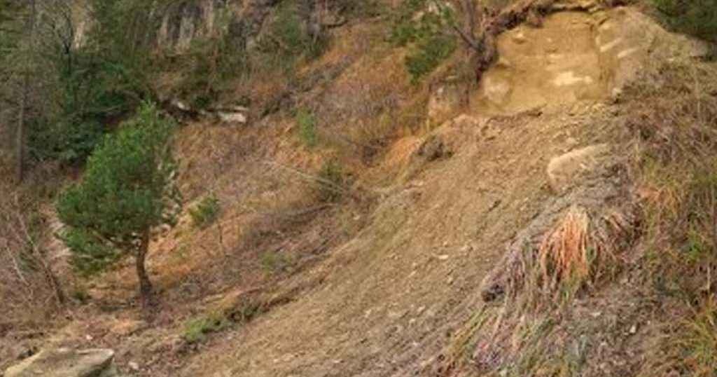 সুদানে ভয়াবহ ভূমিধস, ১ হাজারের বেশি মানুষের মৃত্যু