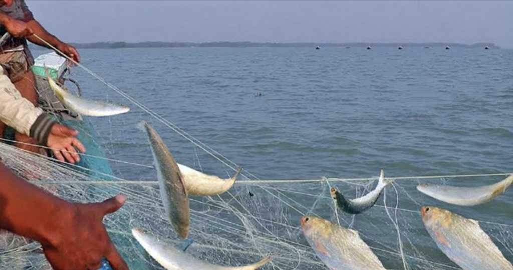 আজ থেকে জাটকা শিকারের নিষেধাজ্ঞা শুরু