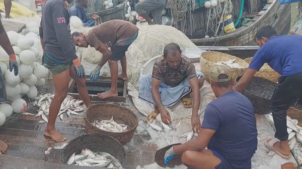 Ilish