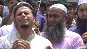 Jhendiha fiflisit 01 1