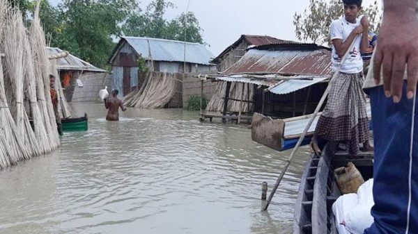 Kushtia risingbd 2508130902