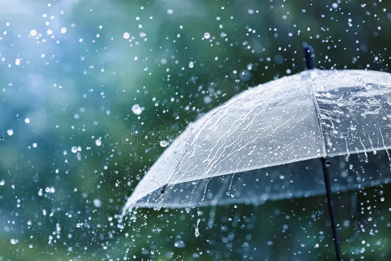 ৭ বিভাগের দু’এক জায়গায় বৃষ্টির আভাস