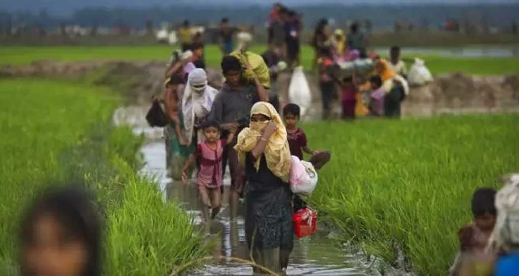 মিয়ানমার থেকে আরও ৫০০ রোহিঙ্গা পালিয়ে এলো বাংলাদেশে
