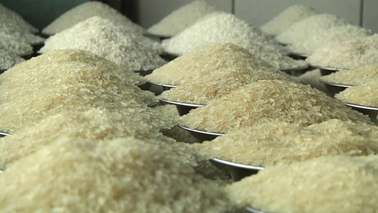 চাল আমদানিতে আগ্রহী ব্যবসায়ীদের বরাদ্দ দেয়া শুরু করেছে খাদ্য মন্ত্রণালয়