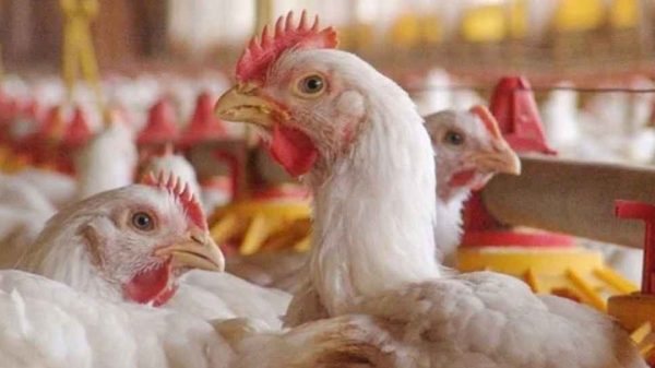 Rtv 20250326 213924467