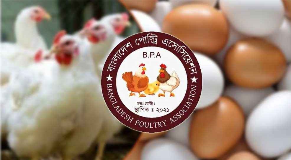 ডিম ও মুরগি উৎপাদন বন্ধের ঘোষণা প্রত্যাহার