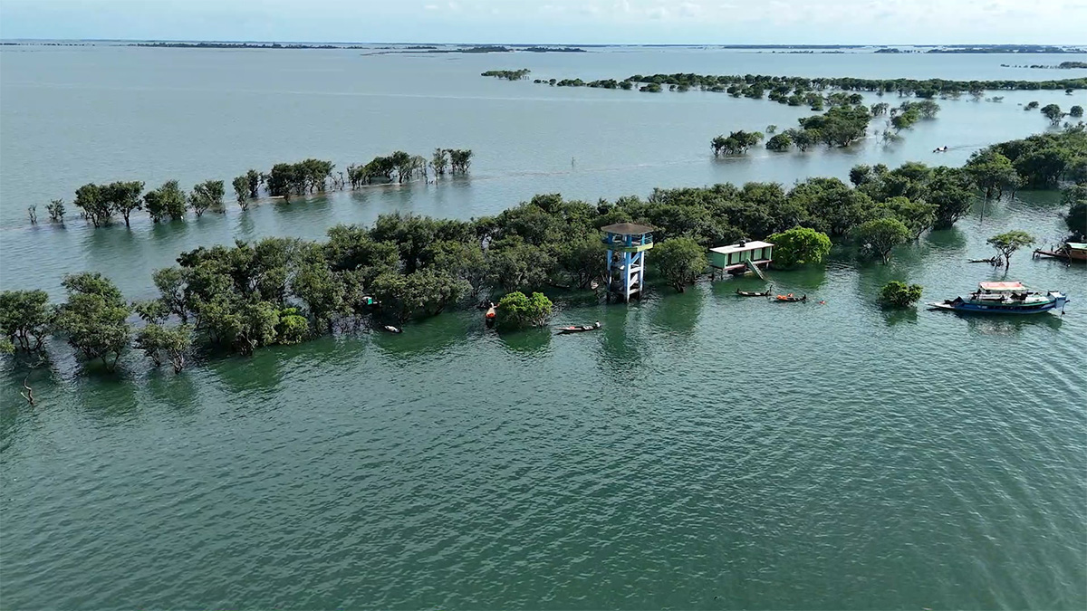 টাঙ্গুয়ার হাওরের ওয়াচ টাওয়ার এলাকায় পর্যটকবাহী হাউজবোট প্রবেশে নিষেধাজ্ঞা