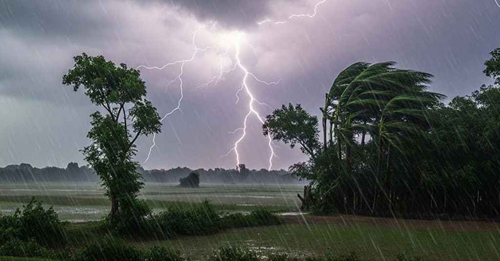 সাগরে নিম্নচাপ, ঢাকাসহ যেসব অঞ্চলে হানা দিতে পারে বজ্রসহ ভারী বৃষ্টি