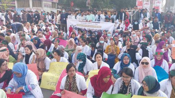 Untitled 1 2412290654