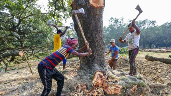 Untitled 1 2501280957