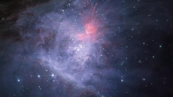 Untitled 1 2503031238