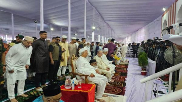 Untitled 1 2503310325