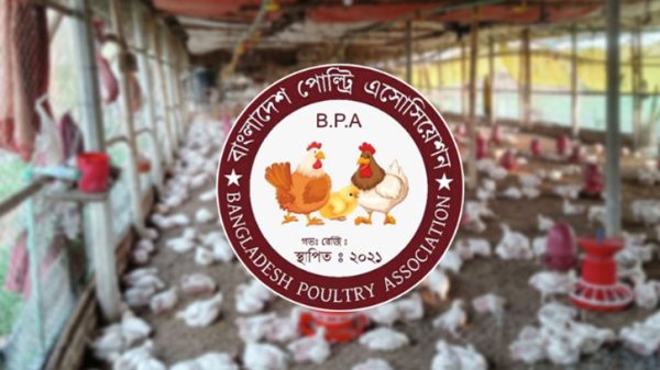 Untitled 1 2504171044